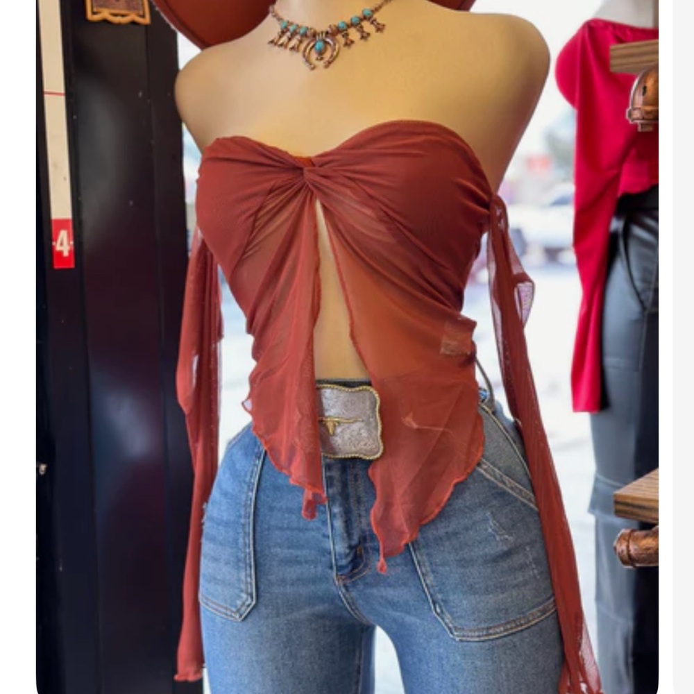 Ribbon Split Blouse Mesh Black and Rust